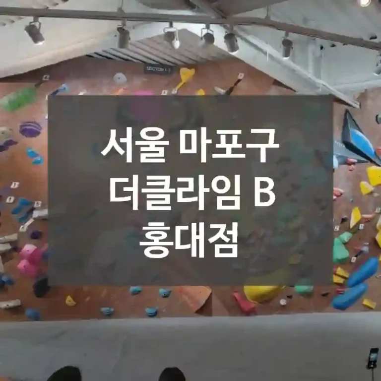 서울 마포구
더클라임 B 홍대점