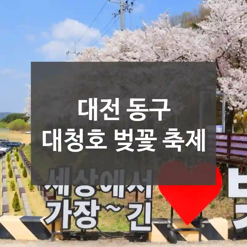 대전 동구
대청호 벚꽃 축제