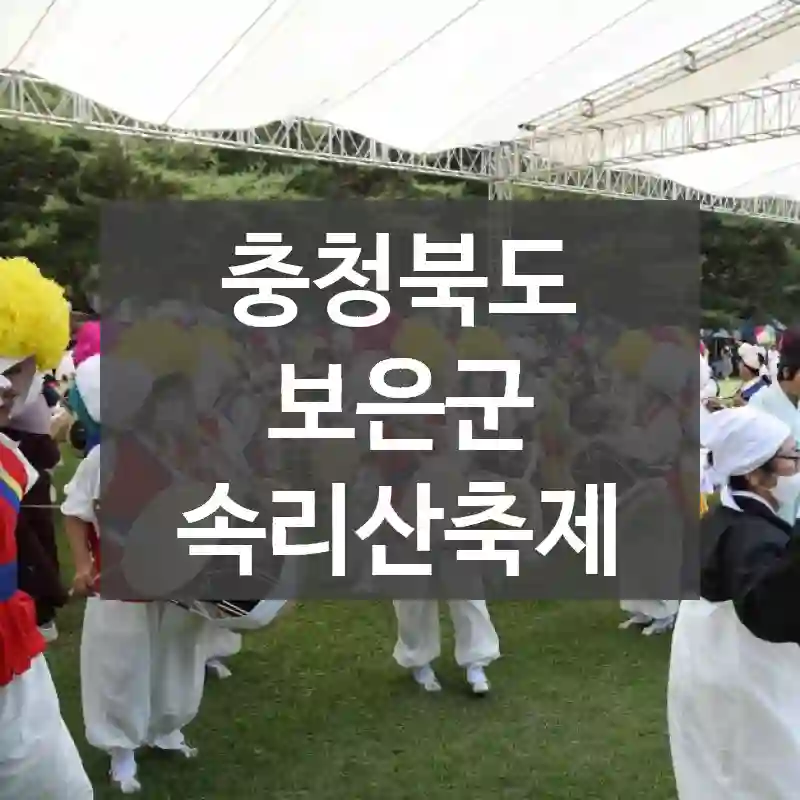 충청북도 보은군
속리산축제