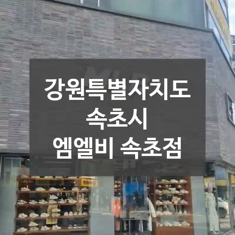 강원특별자치도 속초시
엠엘비 속초점