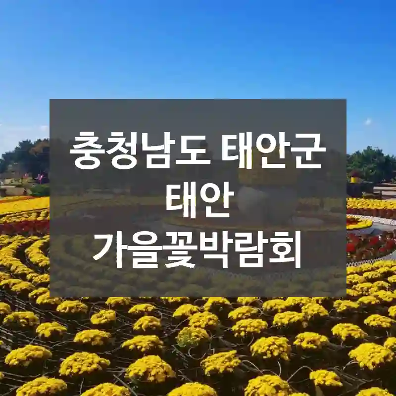충청남도 태안군
태안 가을꽃박람회
