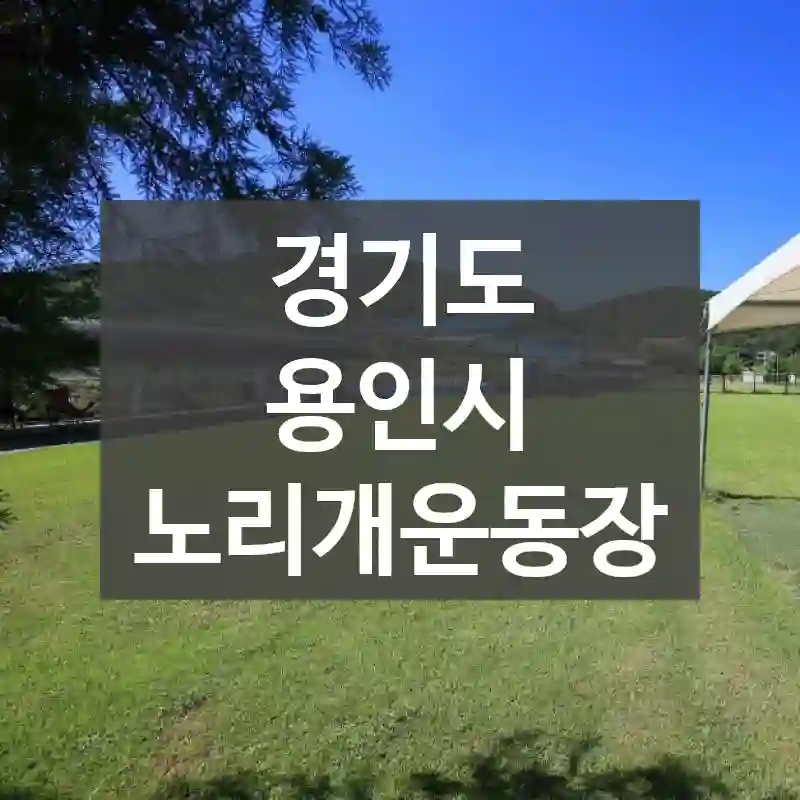 경기도 용인시
노리개운동장