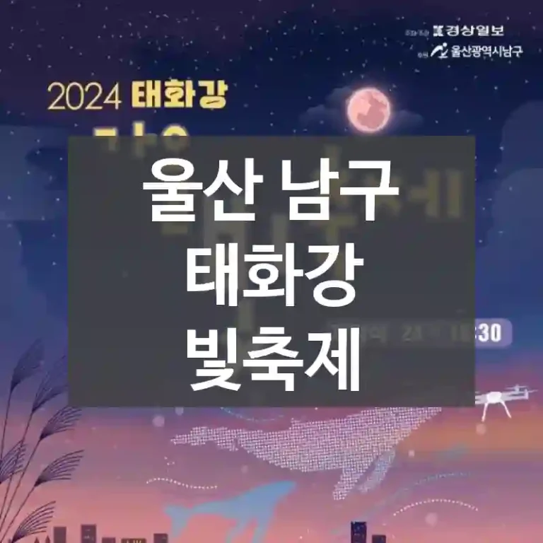 울산 남구
태화강 빛축제