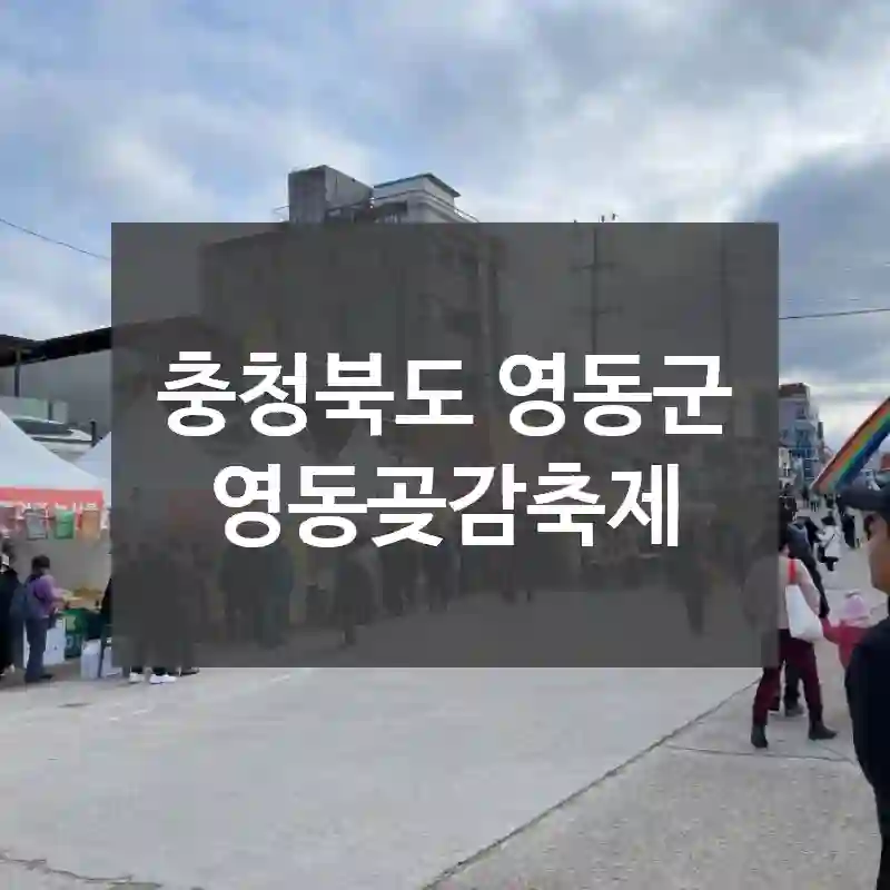 충청북도 영동군
영동곶감축제
