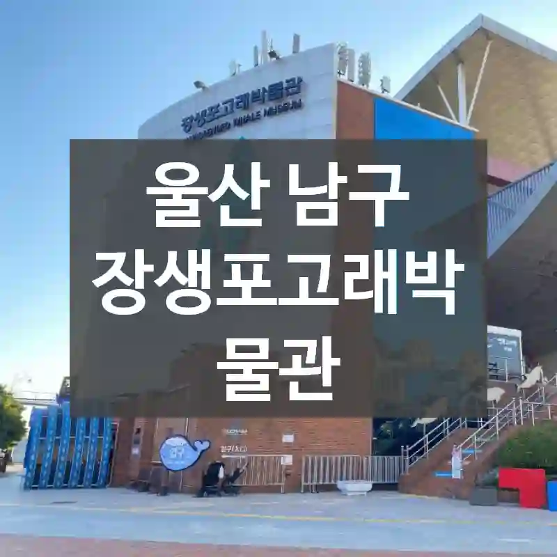 울산 남구
장생포고래박물관