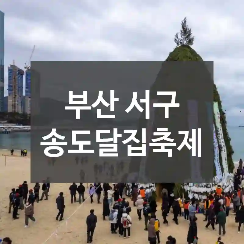 부산 서구
송도달집축제