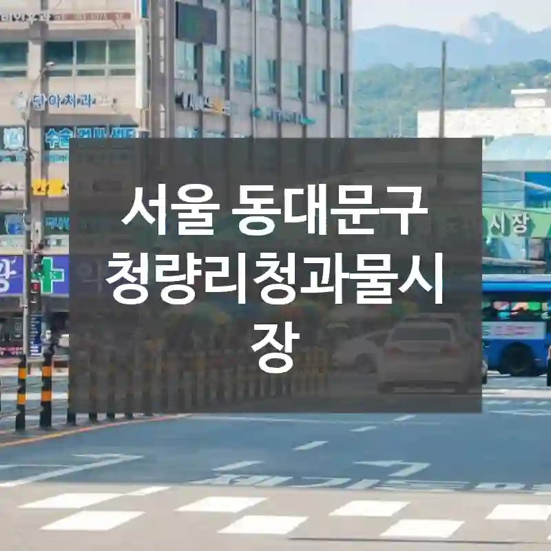 서울 동대문구
청량리청과물시장