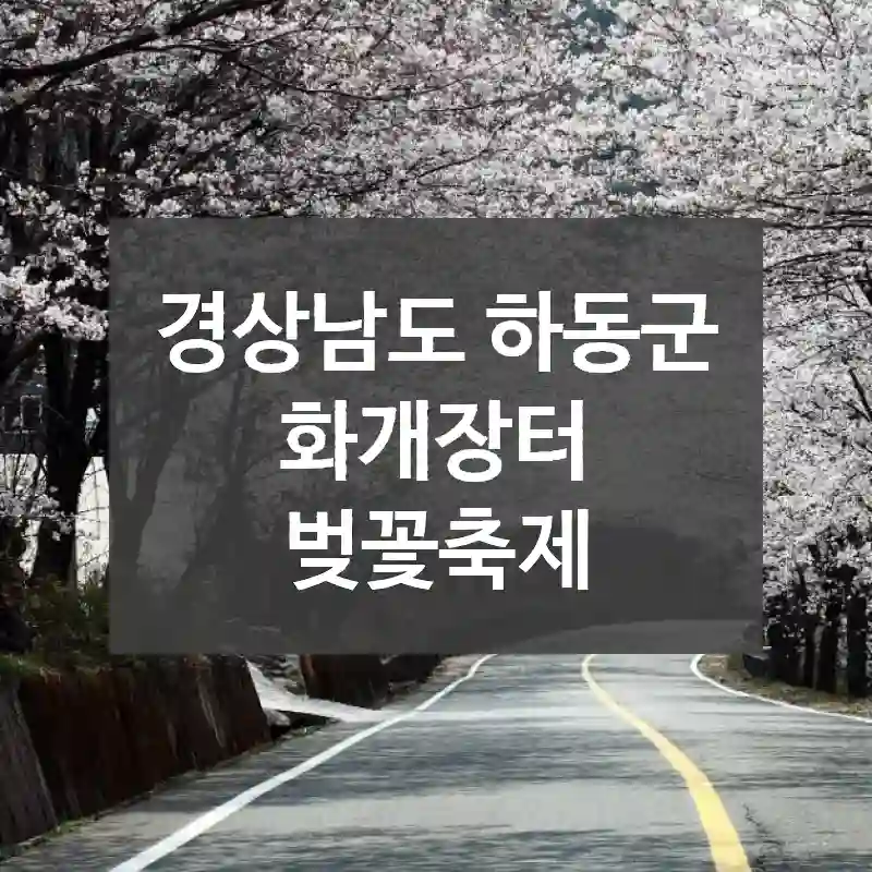 경상남도 하동군
화개장터 벚꽃축제