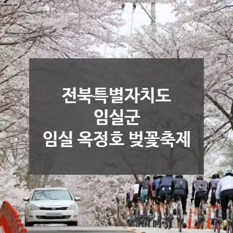 전북특별자치도 임실군
임실 옥정호 벚꽃축제