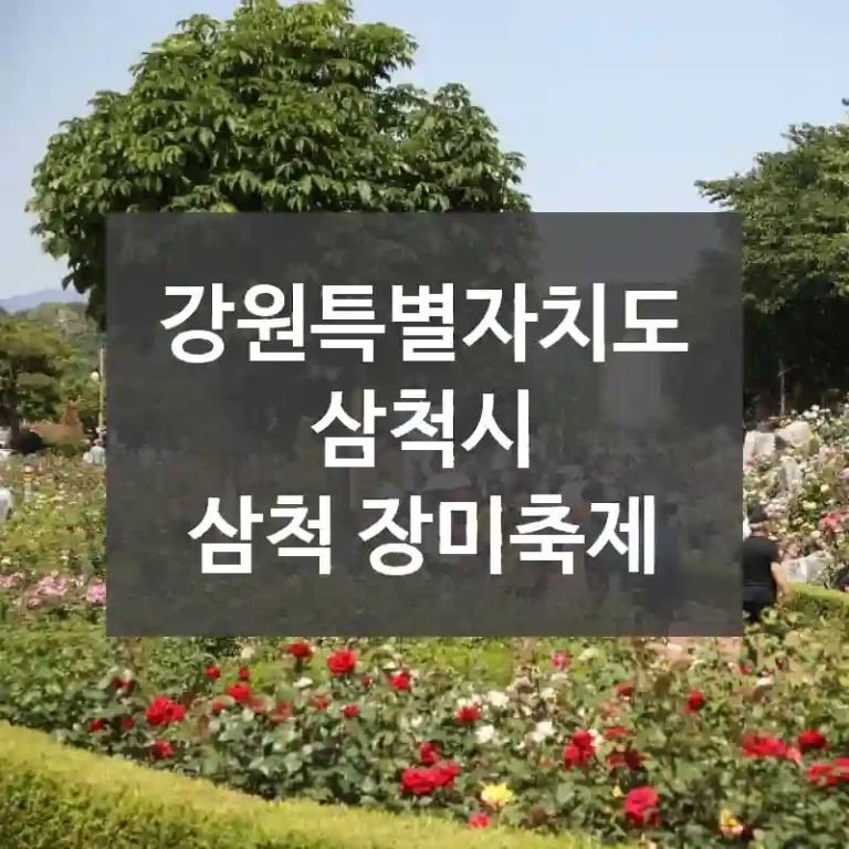 강원특별자치도 삼척시
삼척 장미축제