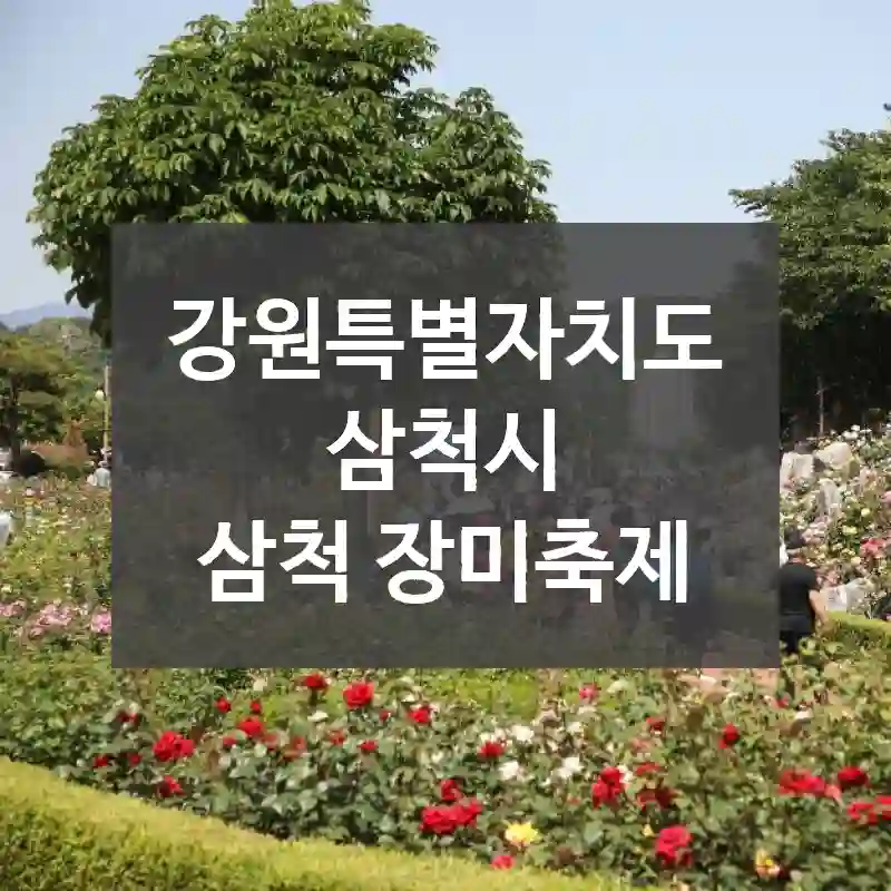 강원특별자치도 삼척시
삼척 장미축제