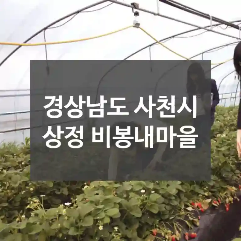 경상남도 사천시
상정 비봉내마을