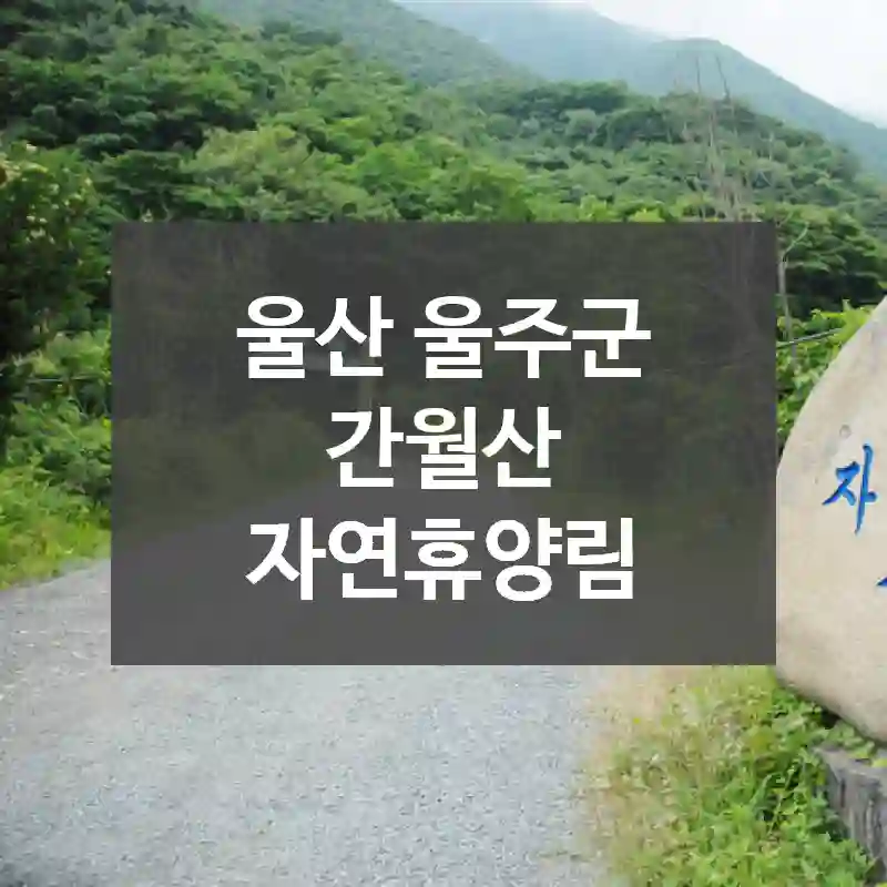 울산 울주군
간월산 자연휴양림