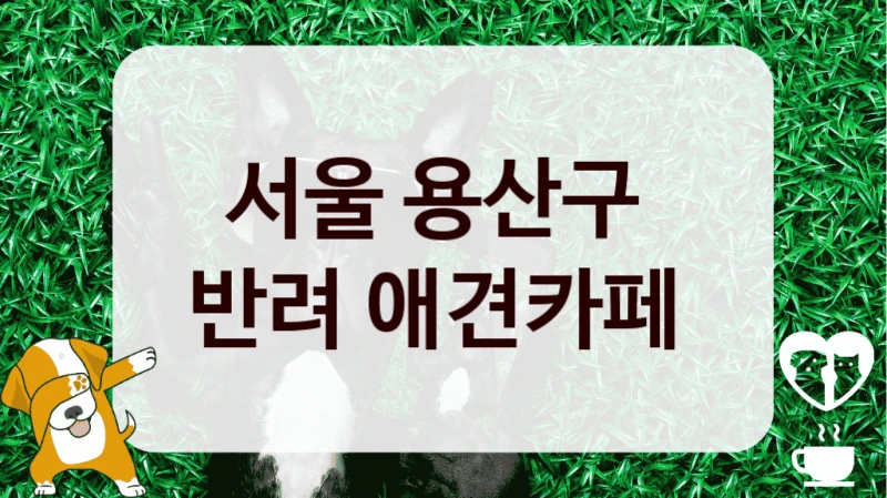 서울 용산구 
반려 애견카페 