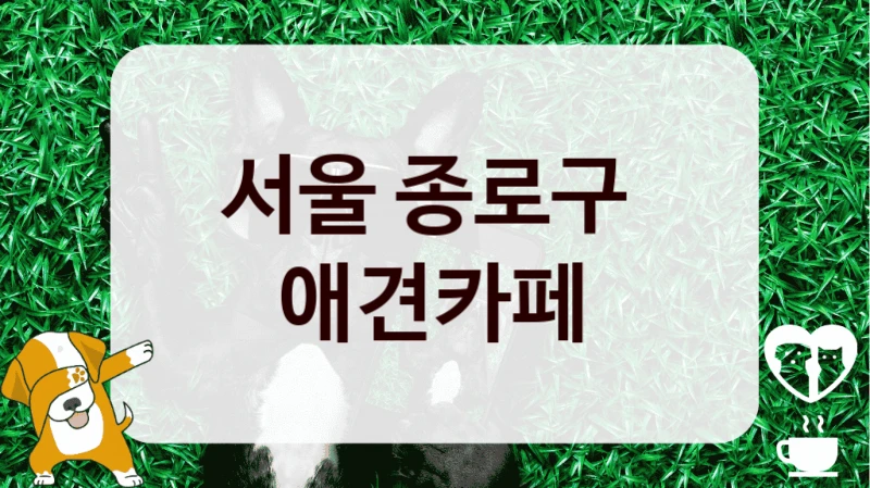 서울 종로구 
 애견카페 