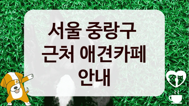 서울 중랑구 
근처 애견카페 안내