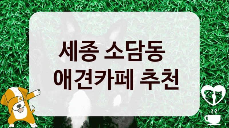 세종 소담동 
 애견카페 추천