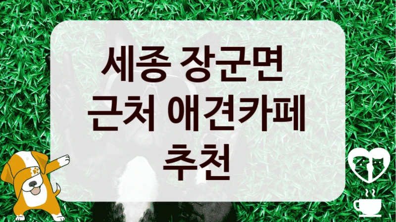 세종 장군면 
근처 애견카페 추천