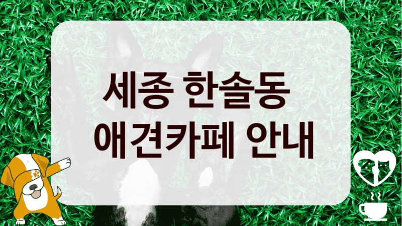 세종 한솔동 
 애견카페 안내