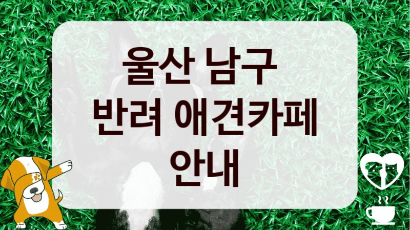 울산 남구 
반려 애견카페 안내