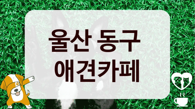 울산 동구 
 애견카페 