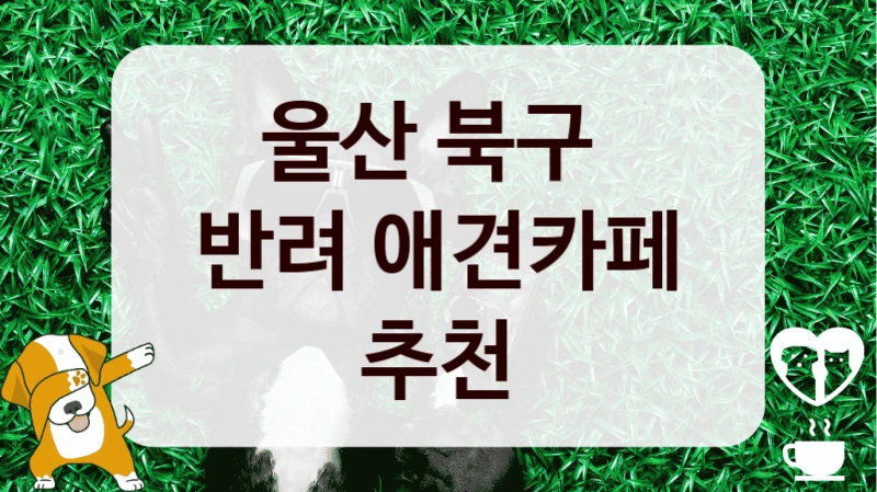 울산 북구 
반려 애견카페 추천