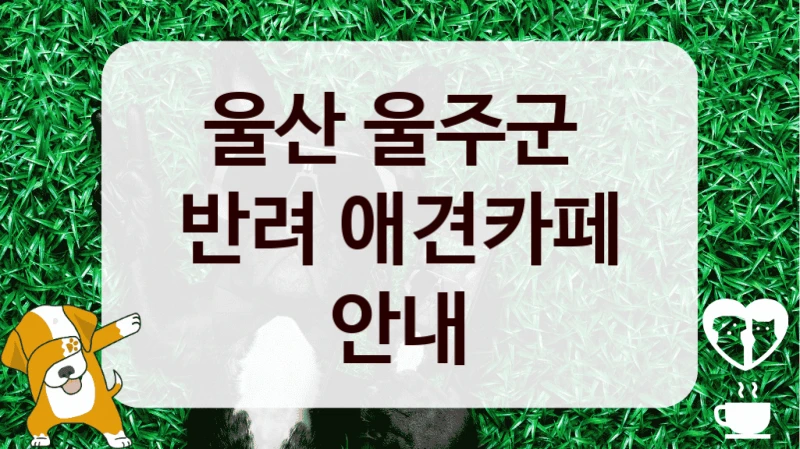 울산 울주군 
반려 애견카페 안내