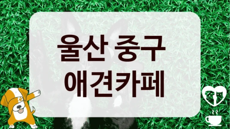 울산 중구 
 애견카페