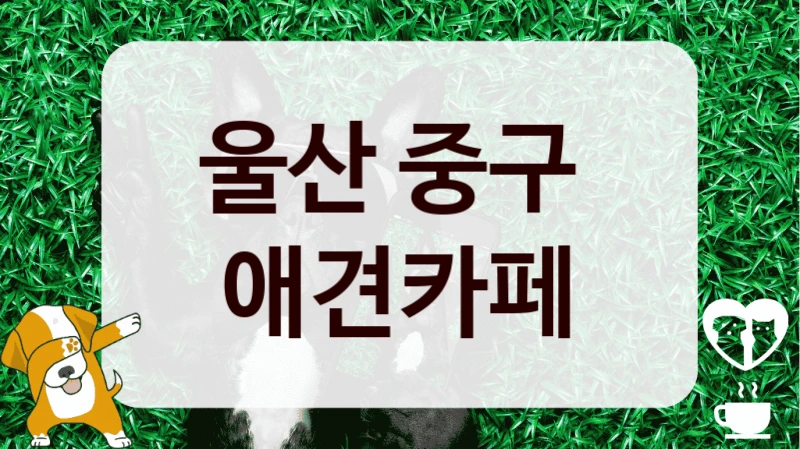 울산 중구 
 애견카페 