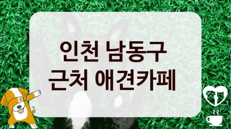 인천 남동구 
근처 애견카페