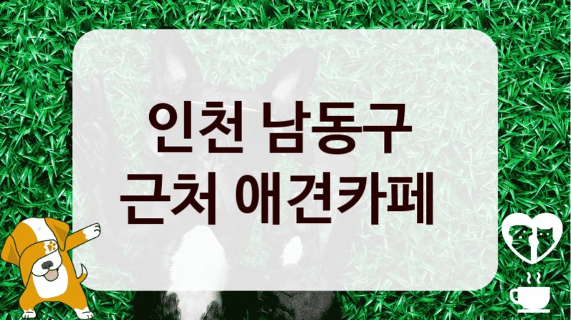 인천 남동구 
근처 애견카페 