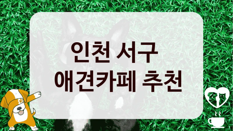 인천 서구 
 애견카페 추천