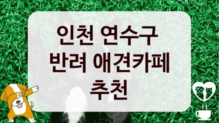 인천 연수구 
반려 애견카페 추천