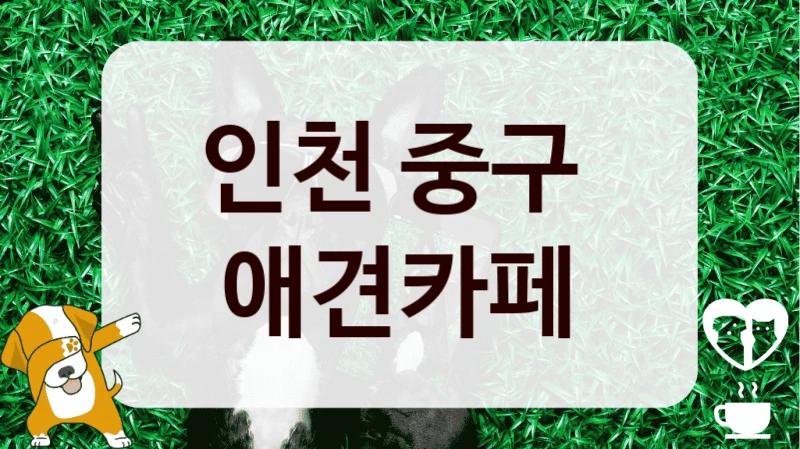 인천 중구 
 애견카페 