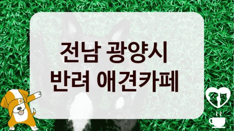 전남 광양시 
반려 애견카페