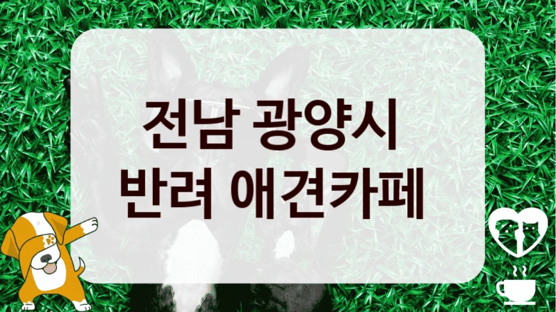 전남 광양시 
반려 애견카페 