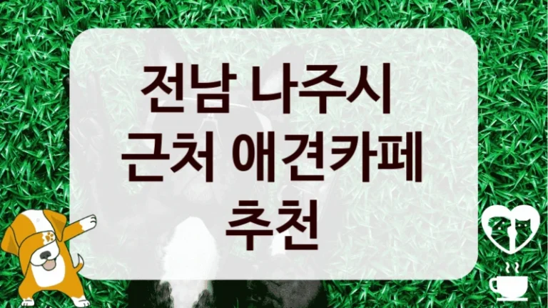 전남 나주시 
근처 애견카페 추천
