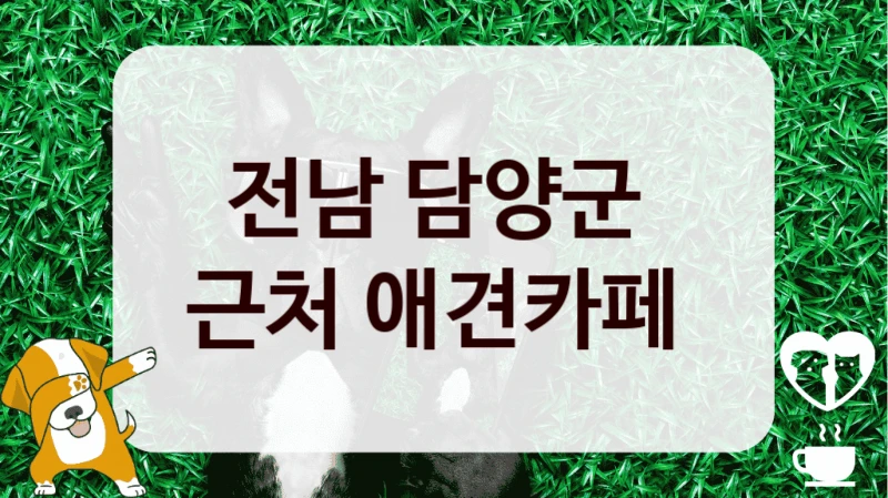 전남 담양군 
근처 애견카페 
