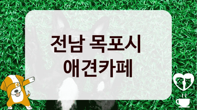 전남 목포시 
 애견카페 