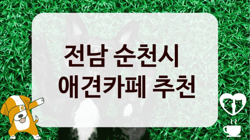 전남 순천시 
 애견카페 추천