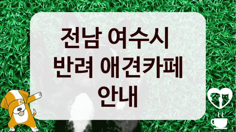 전남 여수시 
반려 애견카페 안내