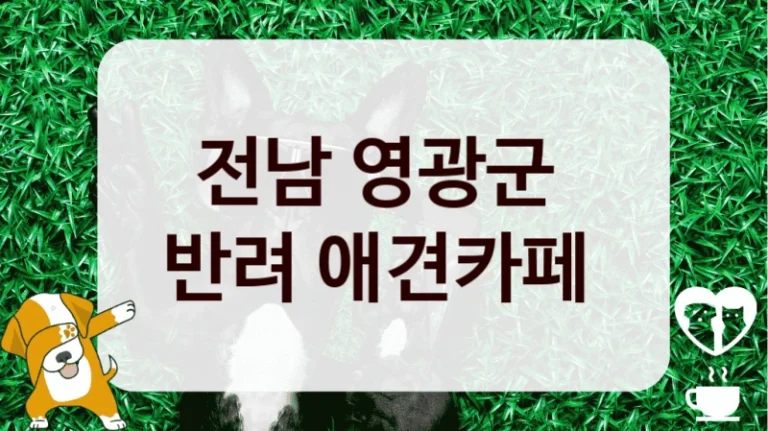 전남 영광군 
반려 애견카페