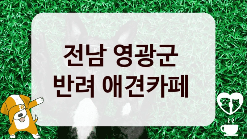 전남 영광군 
반려 애견카페 