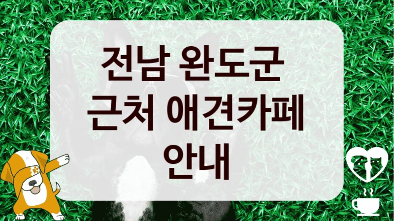 전남 완도군 
근처 애견카페 안내
