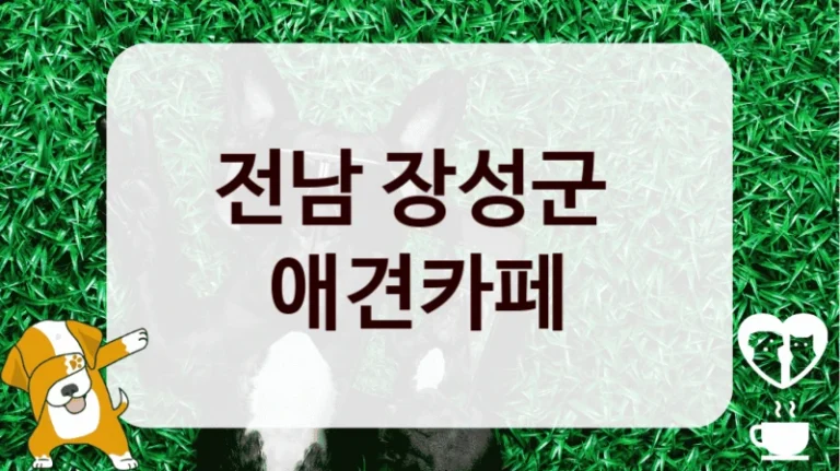 전남 장성군 
 애견카페