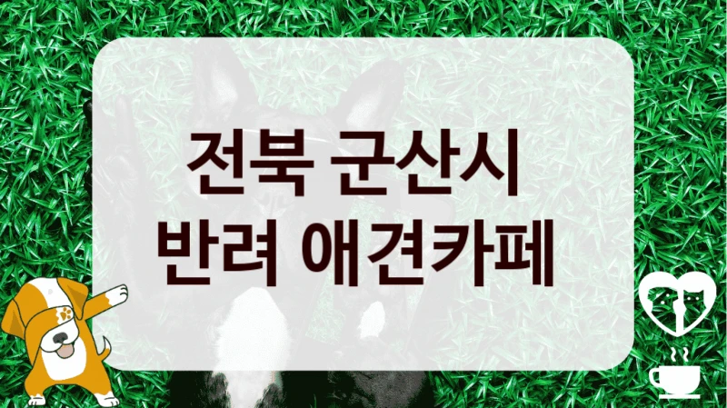 전북 군산시 
반려 애견카페