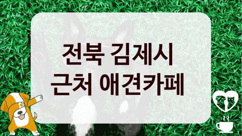 전북 김제시 
근처 애견카페