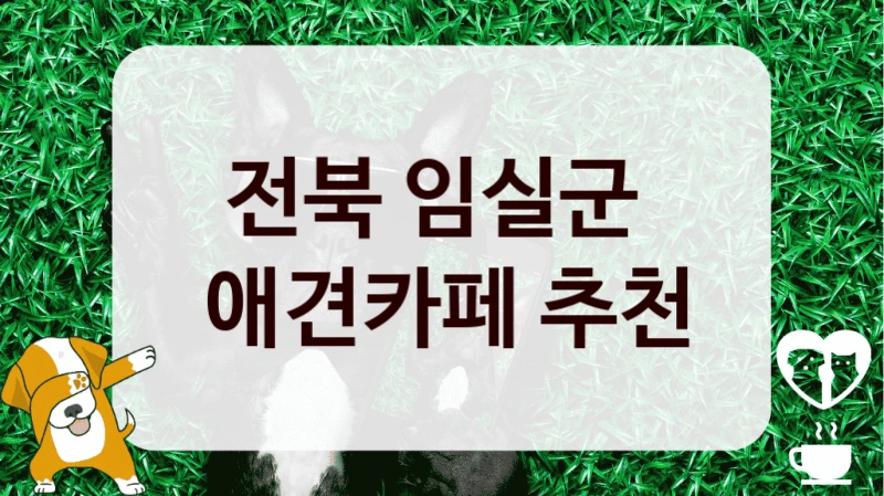 전북 임실군 
 애견카페 추천