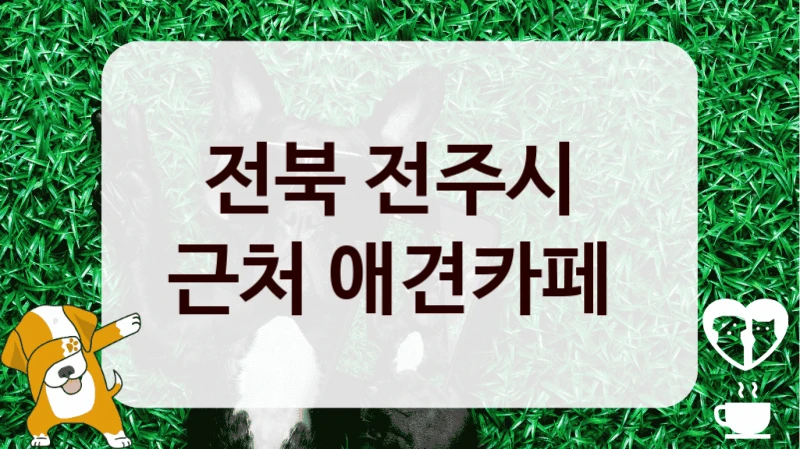 전북 전주시 
근처 애견카페 