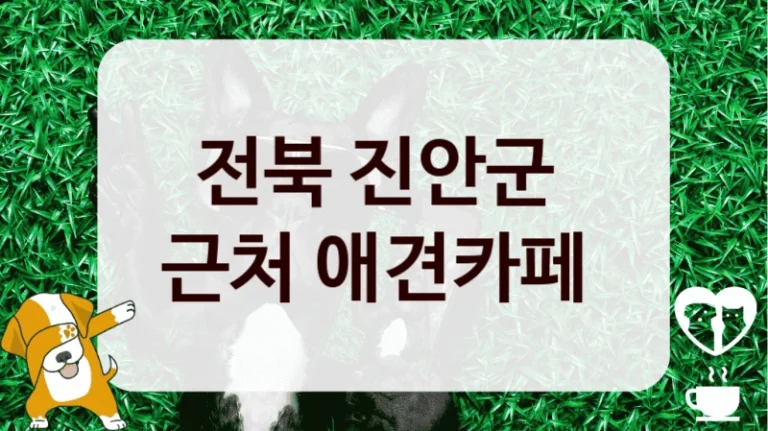 전북 진안군 
근처 애견카페